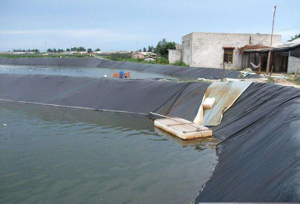 水產養殖案例