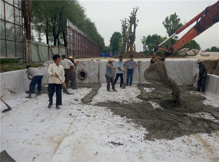 鈉基国产午夜AV精品成就人工湖內花美魚肥