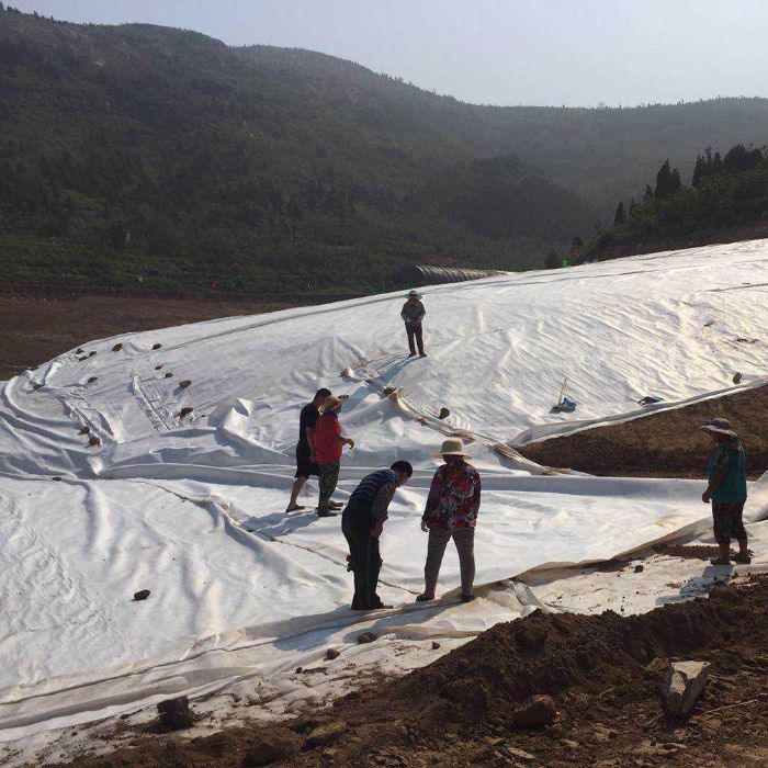 防水午夜精品一区二区三区在线视频膜可以防止地下水上升而對路基產生的不利影響